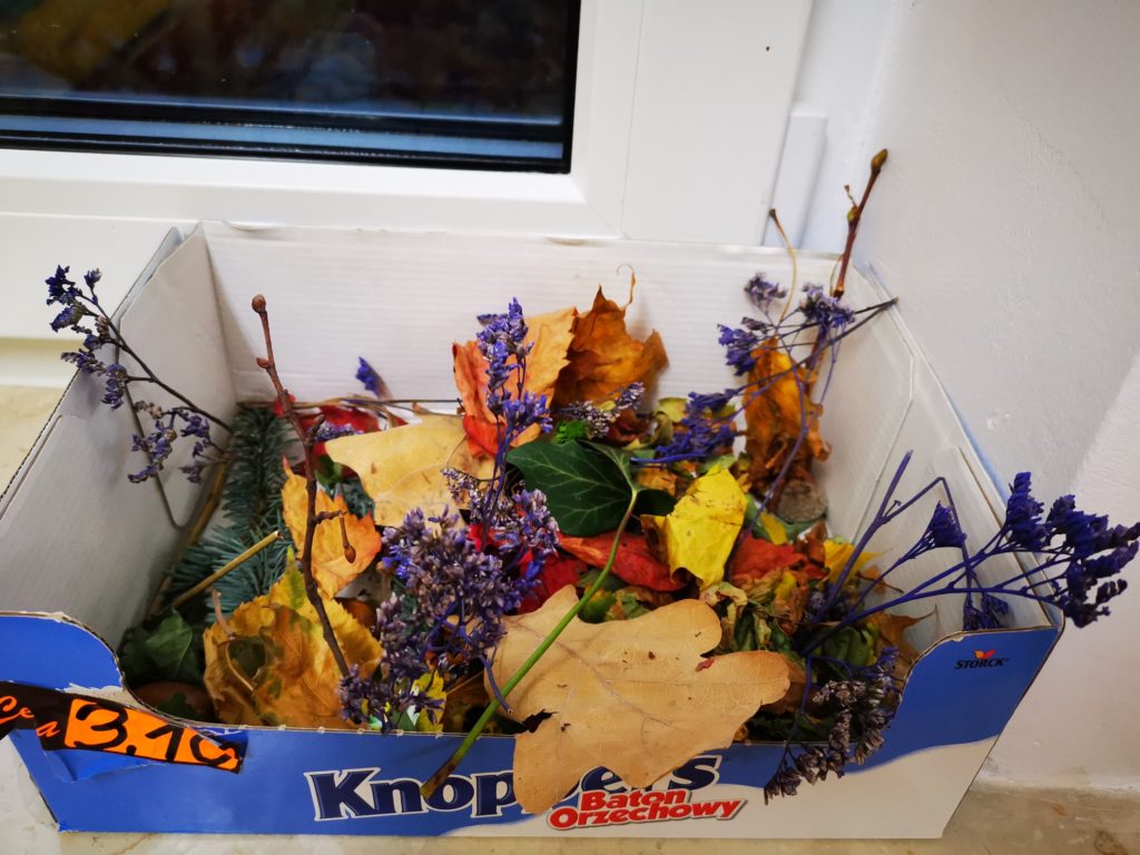 Jesienna kompozycja z liści i suszonych roślin w kartonie.