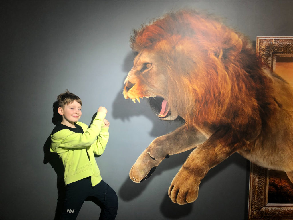 Chłopiec stoi z lewej strony zasłaniając się rękami. Z prawej strony zdjęcia postać ogromnego atakującego lwa.