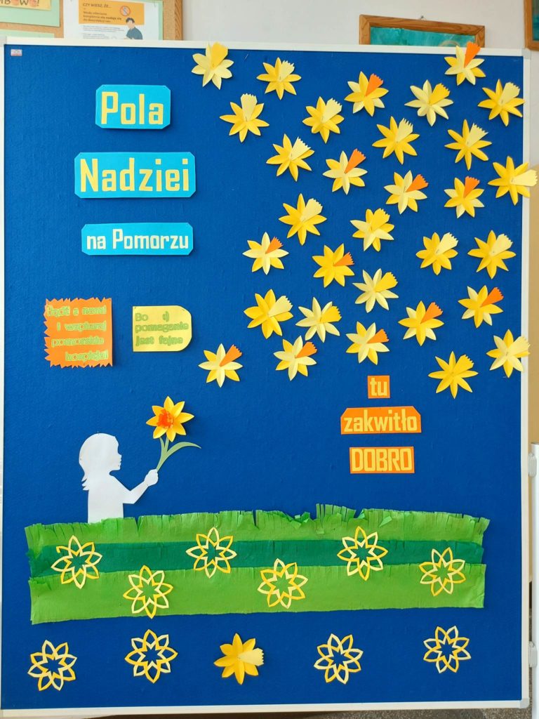 Szkolna tablica, na której jest przygotowana gazetka na temat "Polana nadziei na Pomorzu". Jest dużo kwiatów żonkili i napis z tytułem akcji.