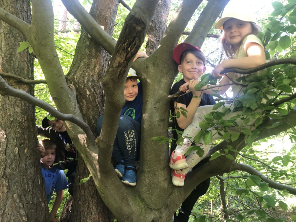 Pięcioro dzieci siedzi na drzewie.