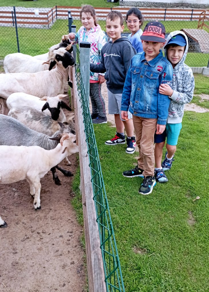 Pięciu uczniów klasy 2 stoi przed zagrodą kóz i owiec pozując do zdjęcia.
