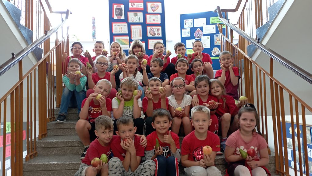 Na schodach szkolnego korytarza w 4 rzędach siedzi 25 osobowa grupa uczniów klasy 2c w czerwonych strojach. W dłoniach trzymają jabłka i gruszki. W tle stoją 2 tablice z plakatami na temat serca i dnia tornistra.