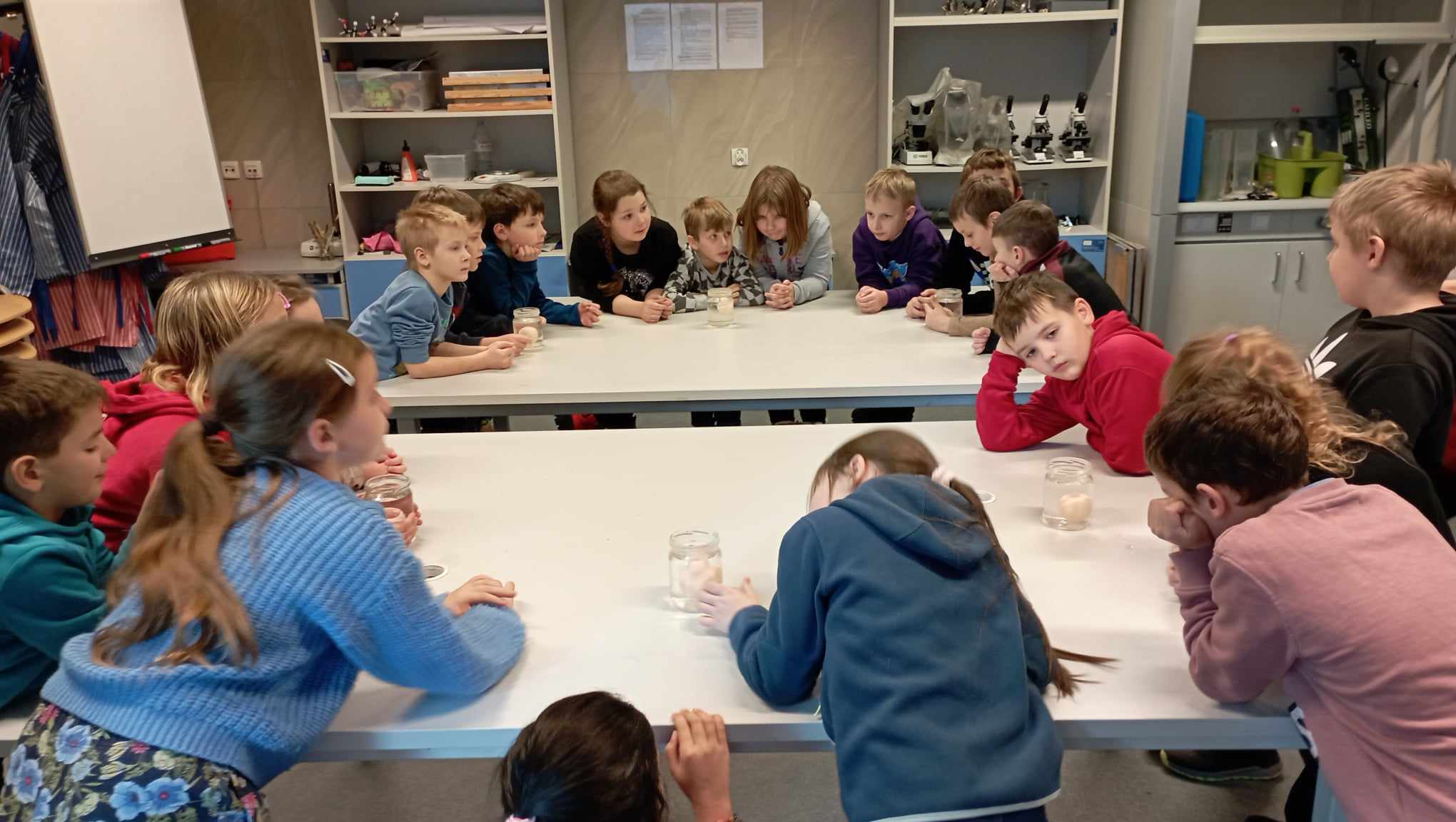 Ponad 20 uczniów klasy 2c stoi w koło dwóch dużych stołów i przygląda się wynikom eksperymentu obserwując słoiki z jajkami. W tle regały z mikroskopami.