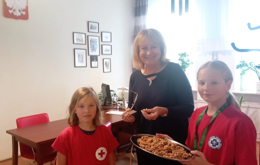 W gabinecie dyrektora stoi Pani Dyrektor, obok niej dwie uczennice z Koła PP HOPR. Jedna z nich trzyma tace z orzechami włoskimi. W tle stół konferencyjny, monitor, okno, godło