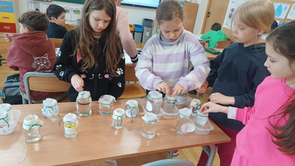 Grupa uczniów w szkolnej klasie skupia się na eksperymencie.  Uczniowie w skupieniu pracują przy stole, na którym ustawione są słoiki z wodą, fasolą i materiałami do eksperymentu. W tle widać innych uczniów i klasę.
