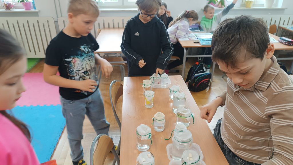 Uczniowie w klasie szkolnej biorą udział w eksperymencie.  Na stole ustawione są słoiki z wodą i innymi materiałami. Dzieci w skupieniu obserwują i manipulują przedmiotami. W tle widać innych uczniów i klasę.