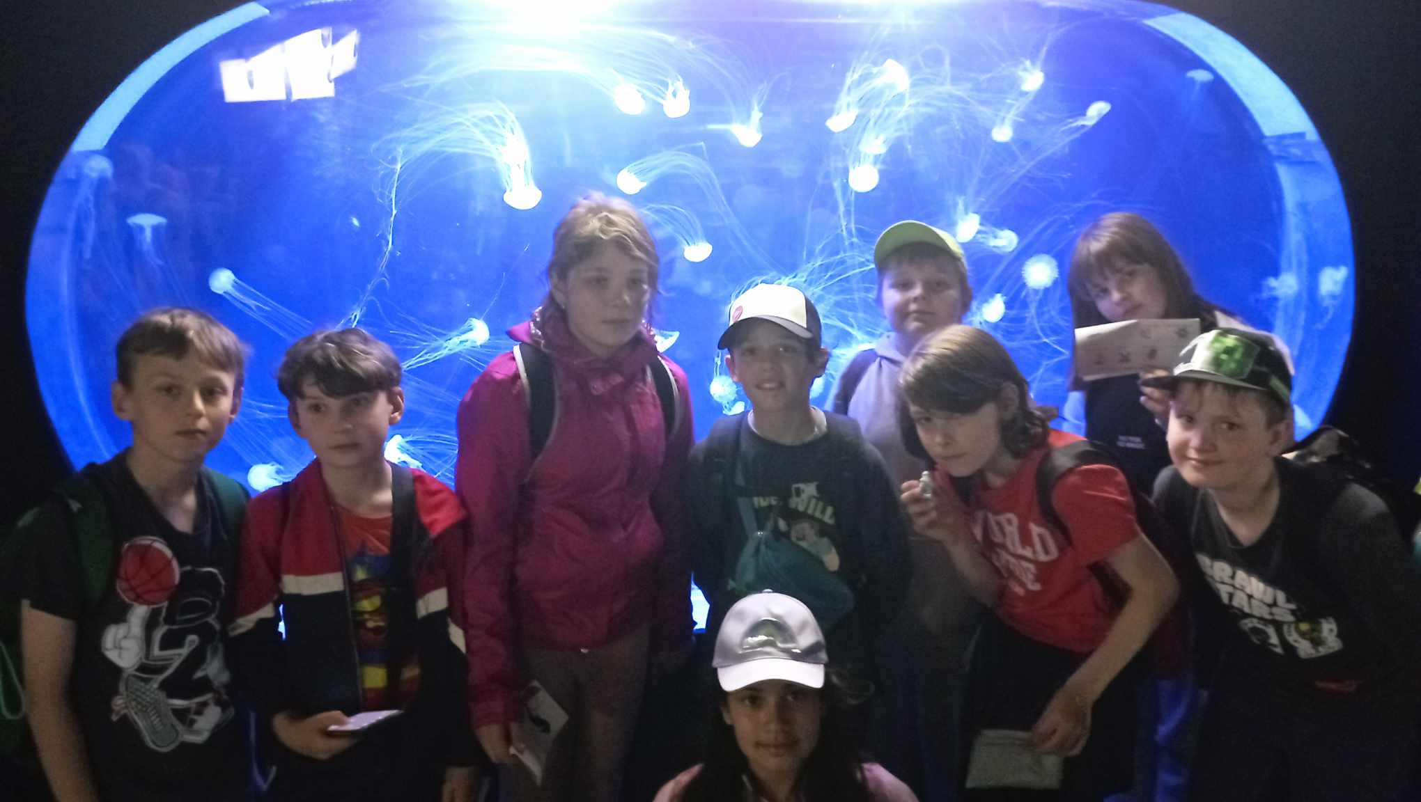 Na tle akwarium z meduzami dziewięcioosobowa grupa uczniów klasy 3c