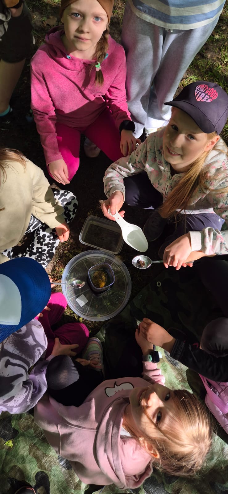 Dzieci oglądają żyjątka wodne. Na łyżce mają ślimaka wodnego. Pod łyżką znajduje się miska z wodą.