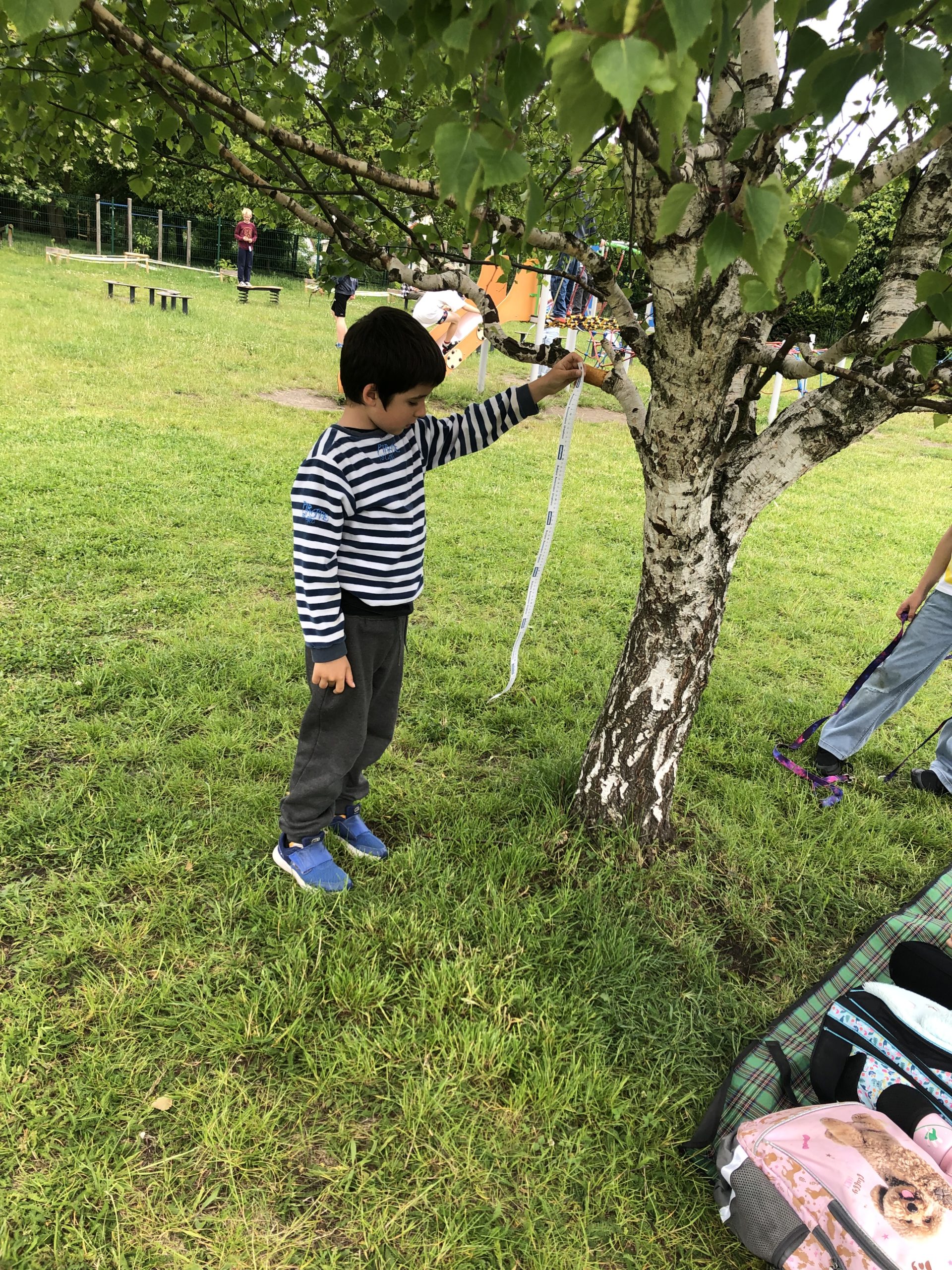 Chłopiec stoi przy drzewie i mierzy metrową miarką wysokość pnia.