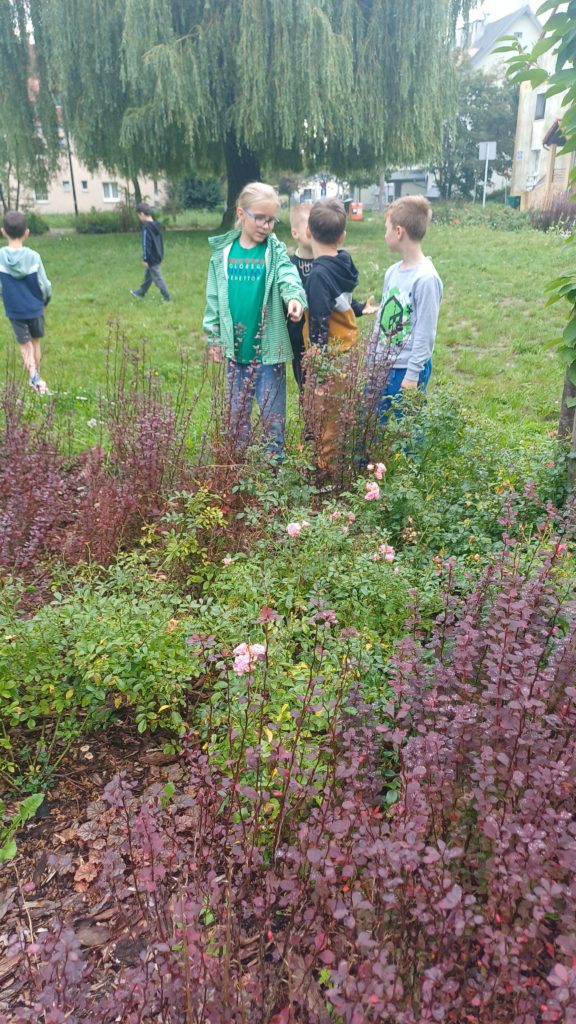 5chlopców znajduje się w parku I wskazują ręką na krzaki.