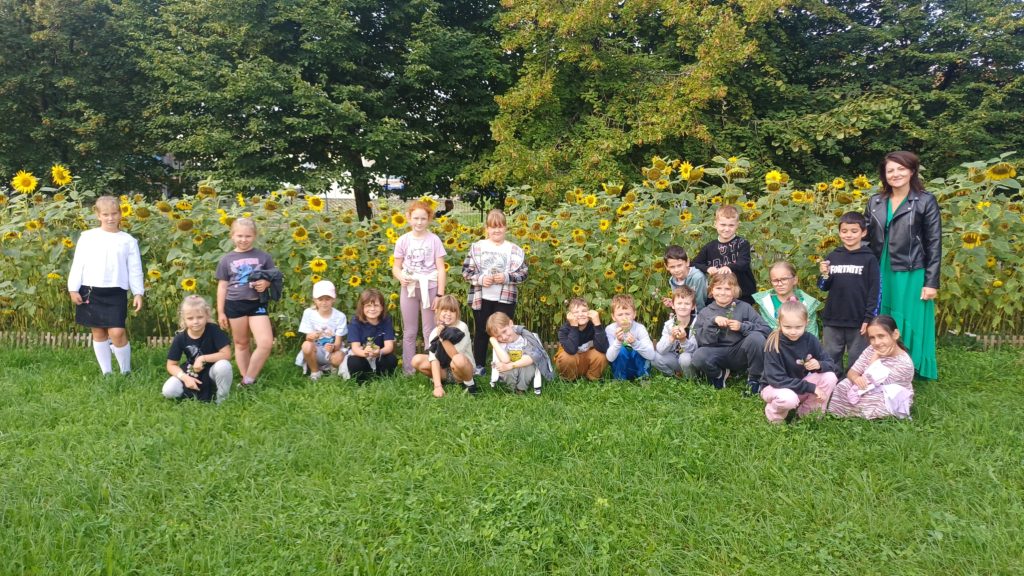 Grupa 19 uczniów wraz z nauczycielką stoją ( kucają) na tle kwitnących słoneczników.