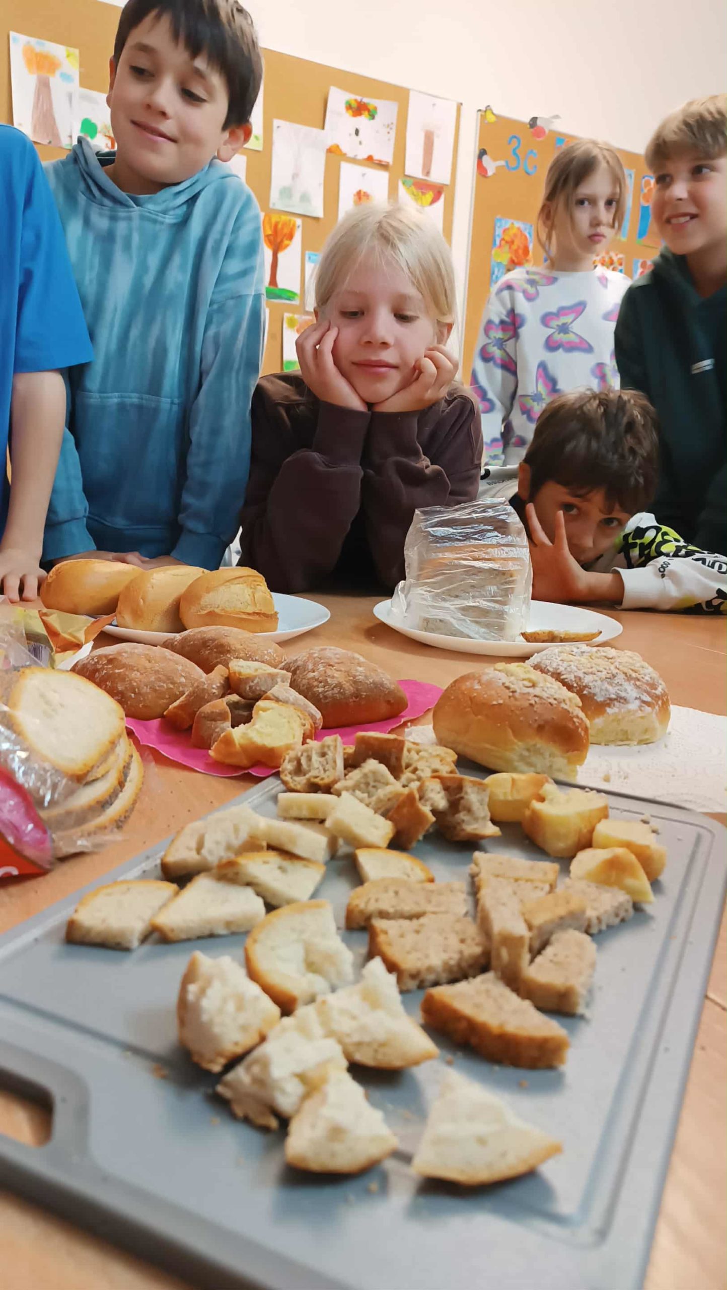 Dzieci w klasie oglądają i porównują różne rodzaje pieczywa podczas lekcji o jego powstawaniu.