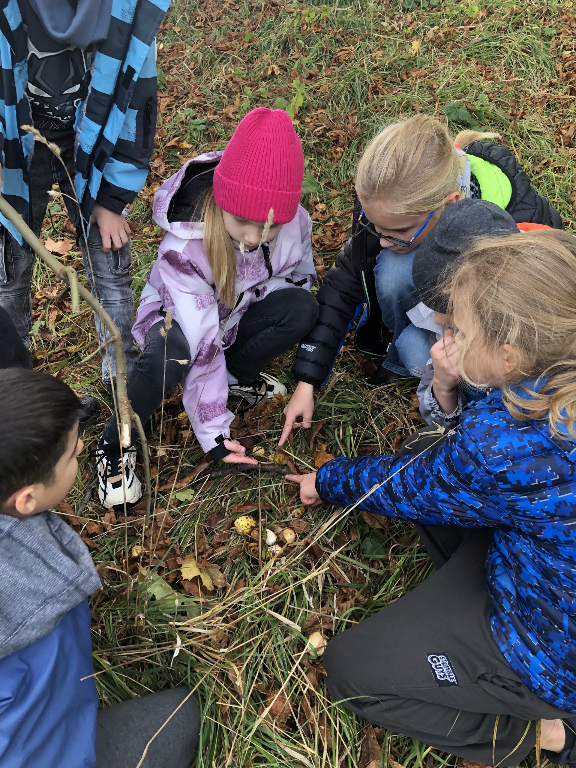 Kilkoro dzieci kuca wskazując palcem na ziemię.
