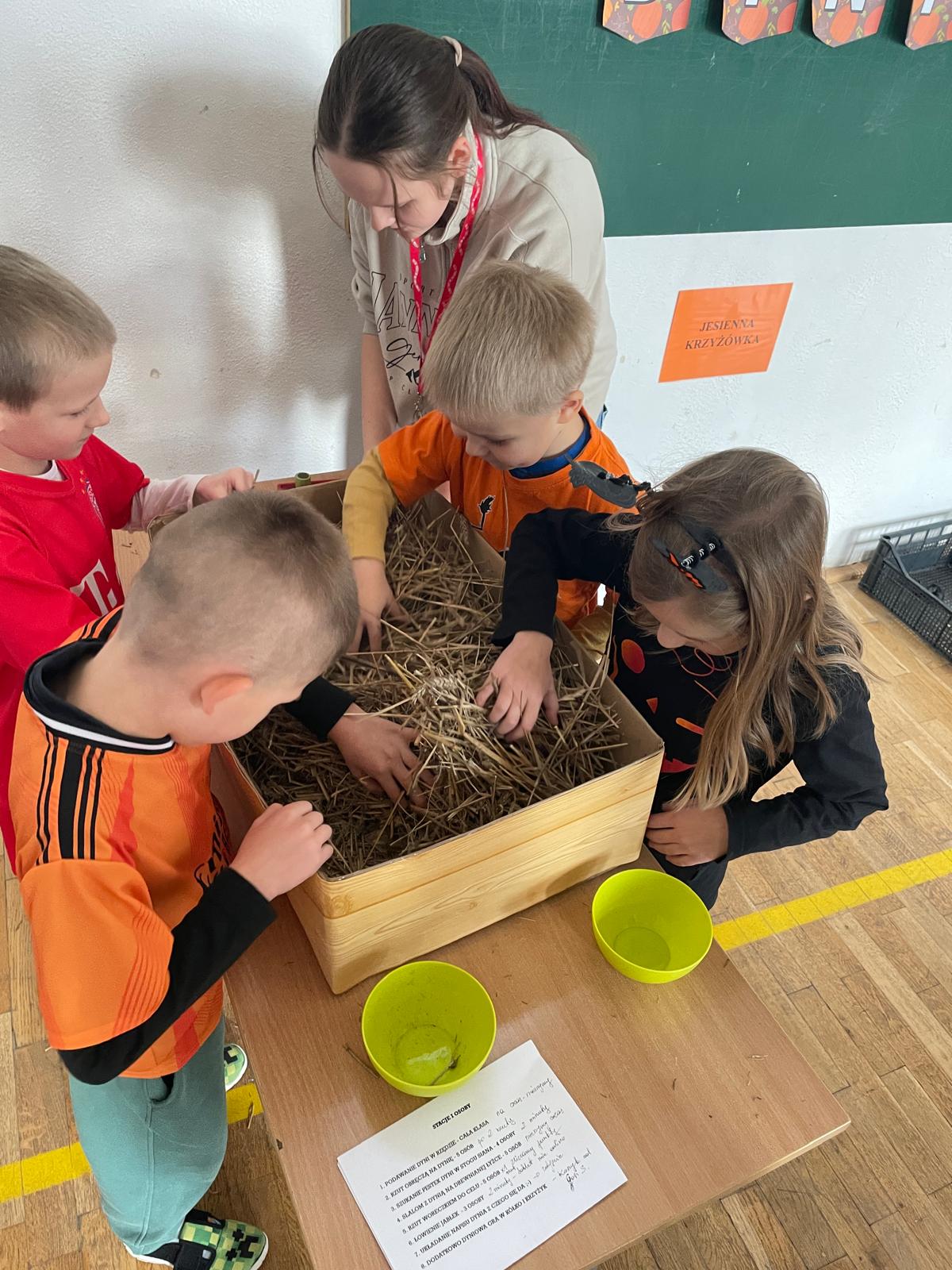Czworo małych dzieci z pomocą wolontariuszki szuka pestek dyni w skrzyni wypełnionej sianem. Na stole leży kartka z wypunktowaną instrukcją gry. Obok stoją zielone miseczki.