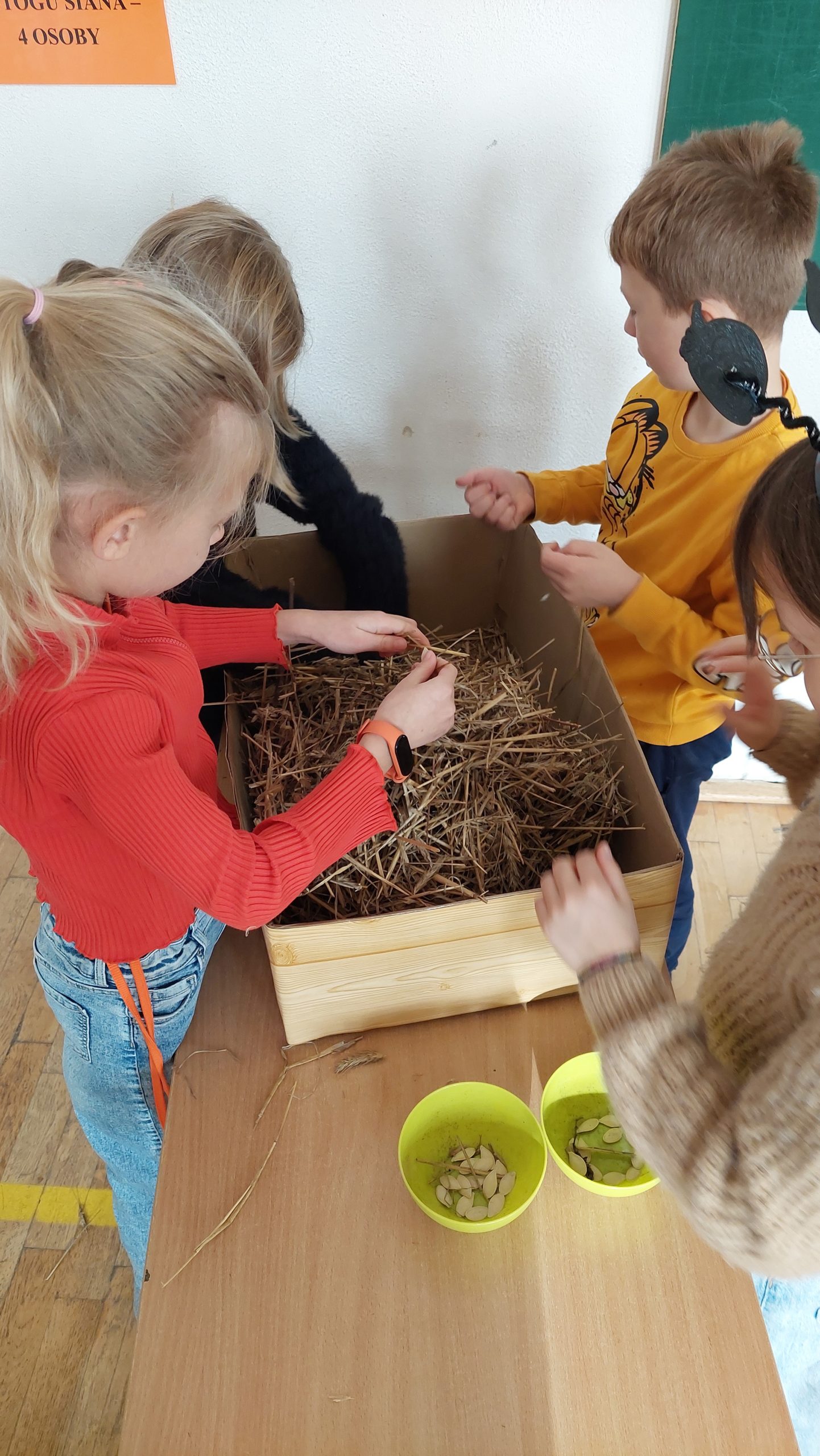  Czworo dzieci pochyla się nad drewnianą skrzynią wypełnioną słomą, szukając ukrytych pestek dyni. Widać małe miseczki z pestkami.