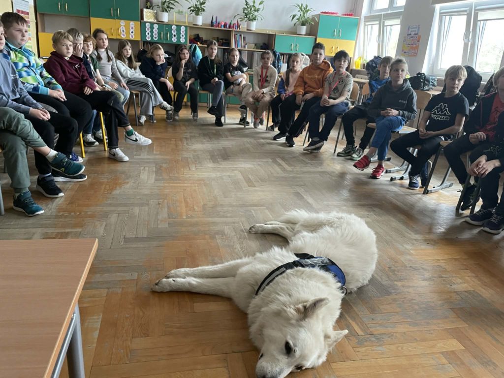Na środku sali leży Kajtek biały pies dzieci siedzą dookoła niego