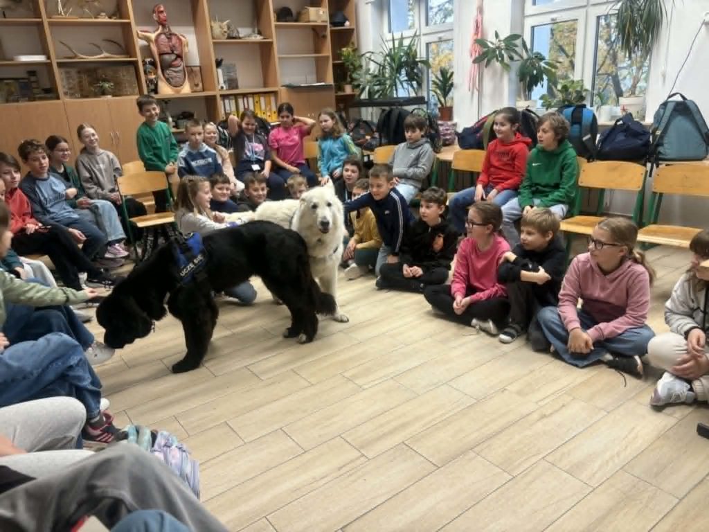 Grupa dzieci siedzi w klasie w półkolu a po środku stoją dwa psy 