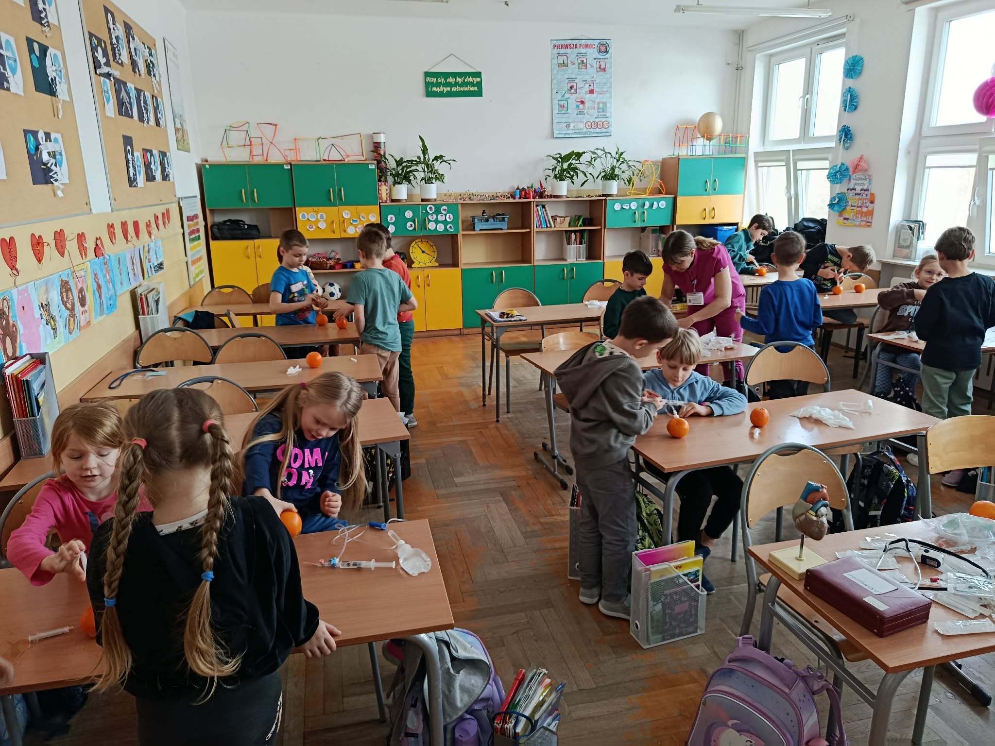 W sali lekcyjnej przy stolikach w małych grupkach stoją uczniowie klasy 1c i podłączają kroplówki pomarańczom. W tle mama pielęgniarka.