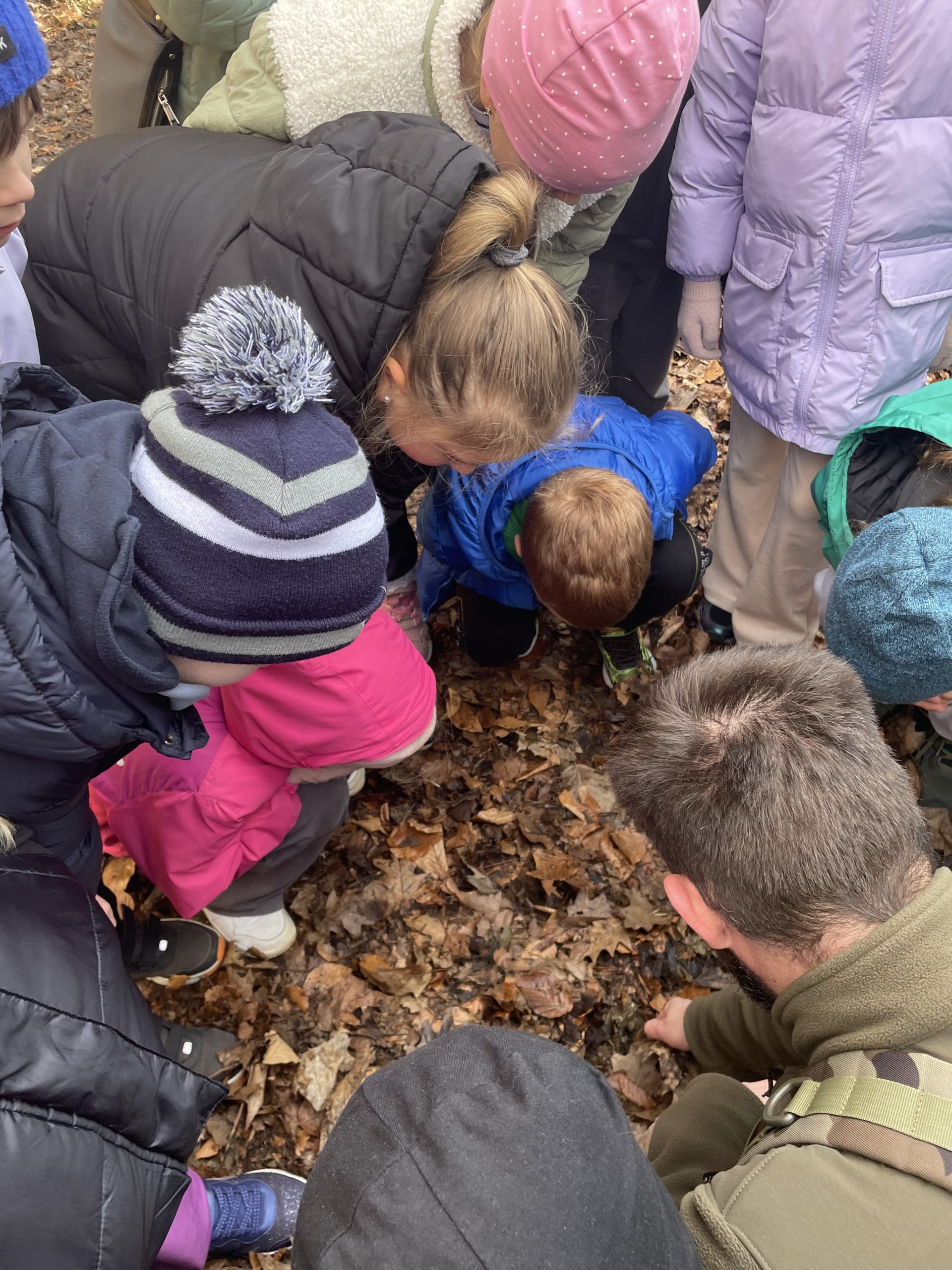 Grupa 8 uczniów i edukatora nachyla się nad ziemią szukając oznak wiosny.