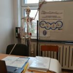 Na pierwszym planie biurko z otwartym laptopem i rozłożonymi dokumentami. W tle tablica z plakatem Wojewódzkiego Konkursu z Pierwszej Pomocy, ilustracją łańcucha przeżycia oraz logiem GUMed. Obok stoi model ludzkiego szkieletu.