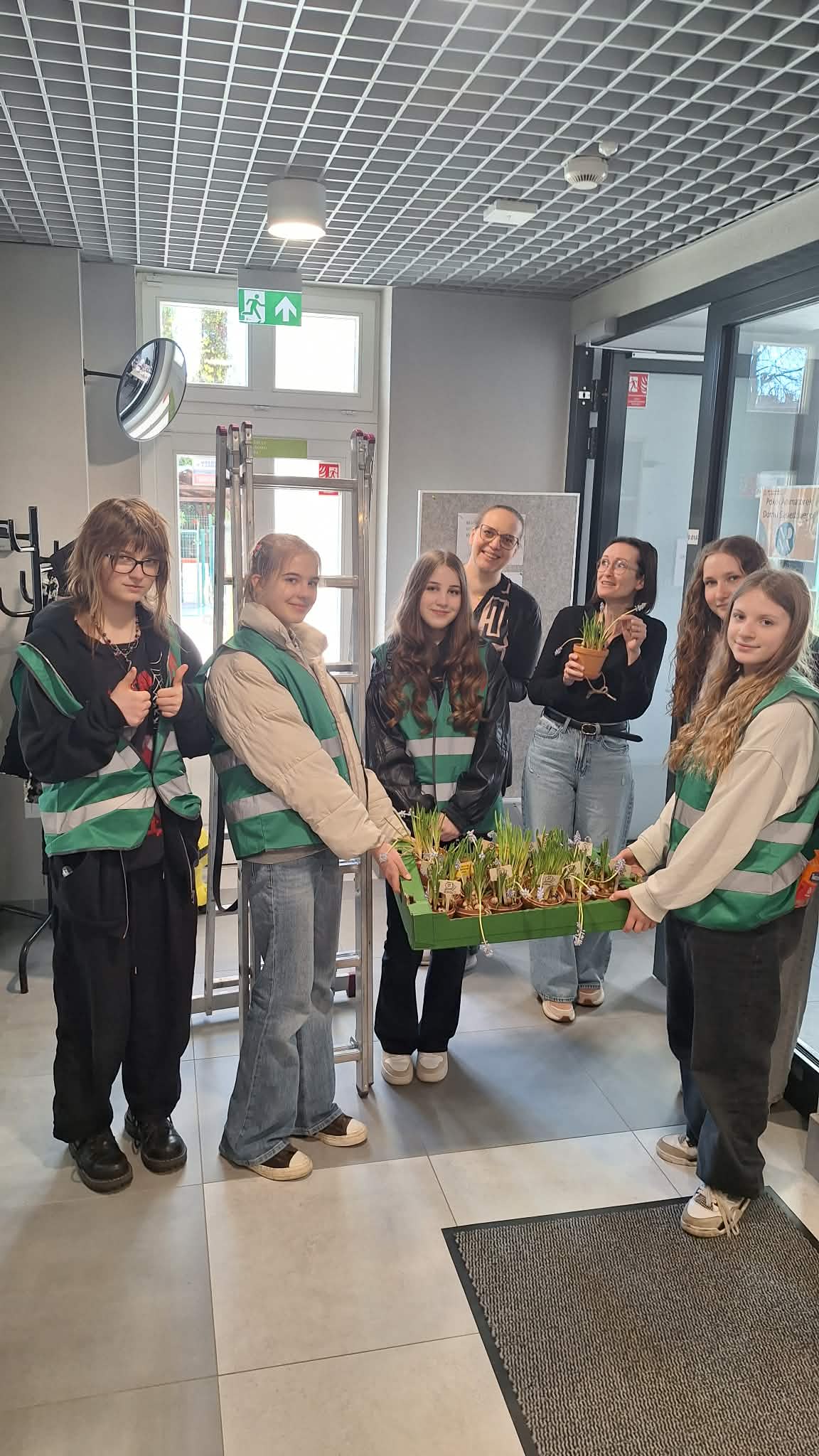 uczennice w jaskrawozielonych kamizelkach wolontariuszy trzymają zieloną skrzynkę pełną szafirków w doniczkach. 