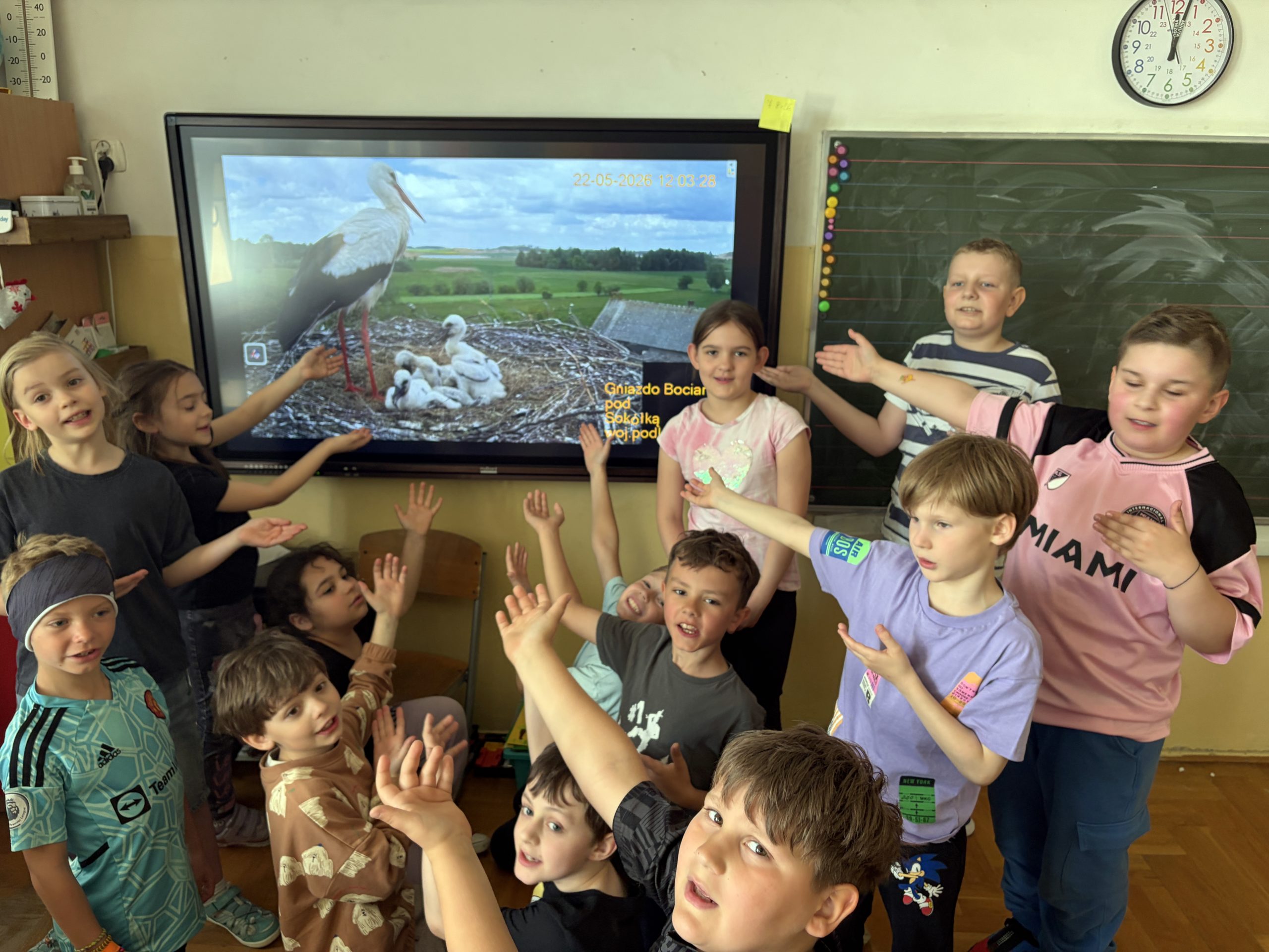 Grupa dzieci w klasie stoi przed dużym ekranem wyświetlającym bociana z młodymi w gnieździe. Uczniowie uśmiechają się i wykonują radosne gesty rękami w stronę ekranu.